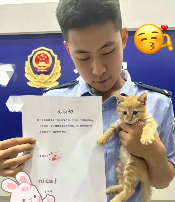 猫:我劝你们少管闲事....