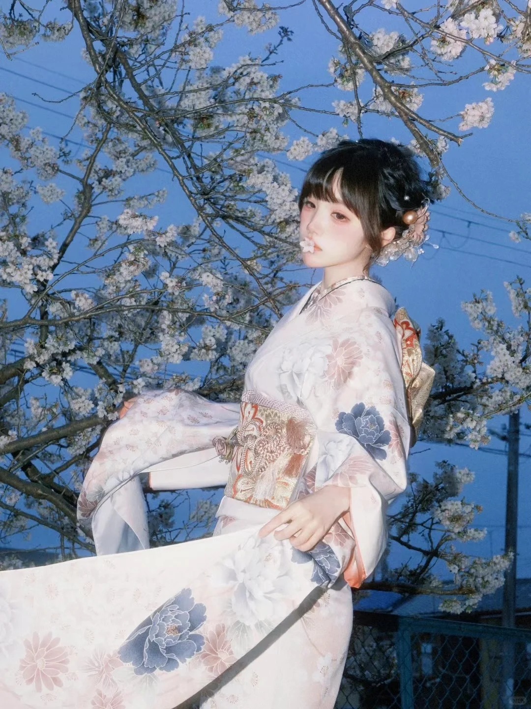第一次用闪光灯直闪，去日本拒绝当樱花难民
出镜：饭饭大王
摄影：本po