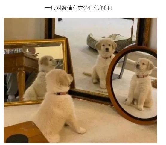 对颜值有充分自信