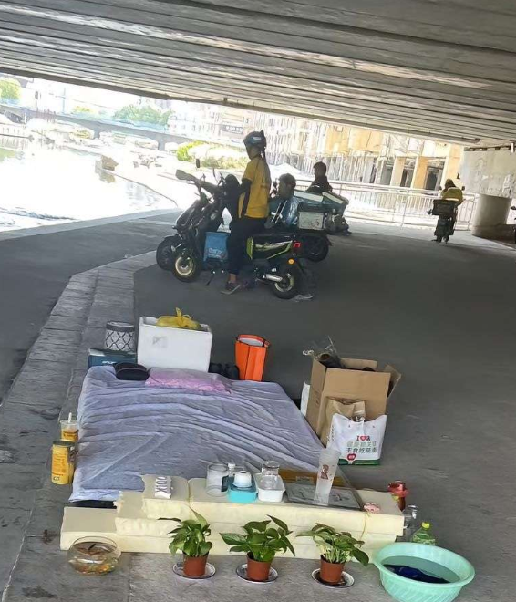 见过这么精致的流浪汉吗