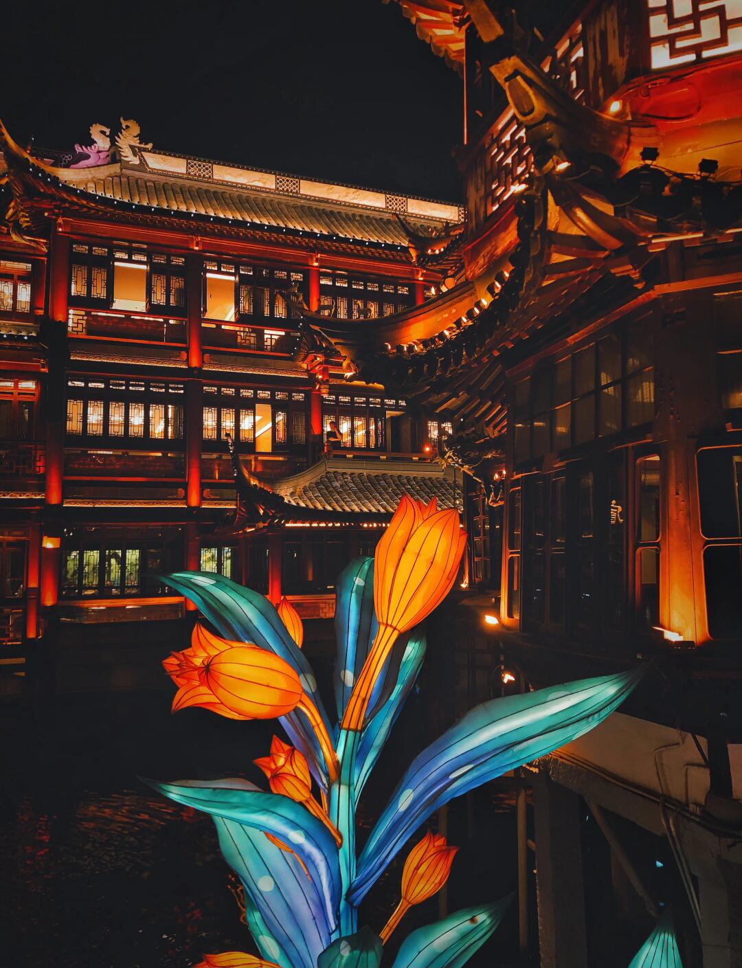 刚从上海回来，要去上海旅游的姐妹，听劝……