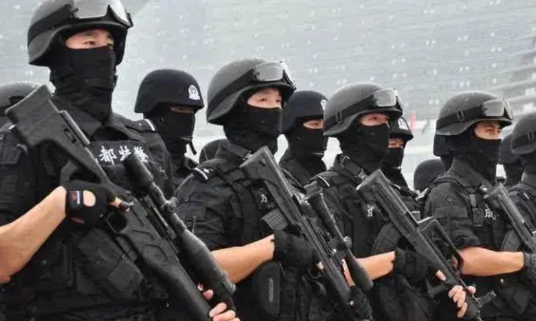 为什么特警会戴面罩而军队则很少戴面罩？

因为工作性质不同。

特警的任务通常是