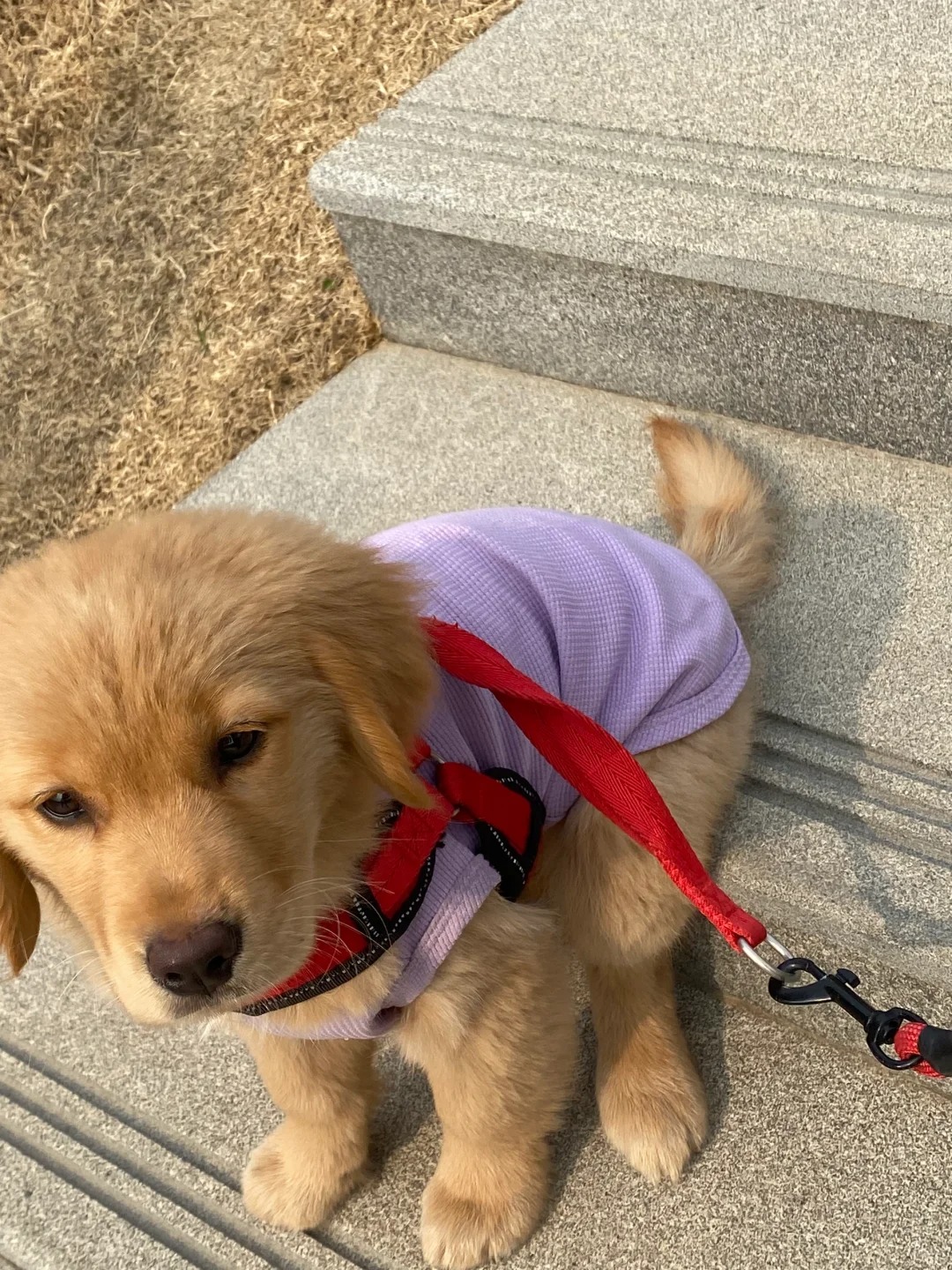 她这是坐哪了
她还知道做台阶上