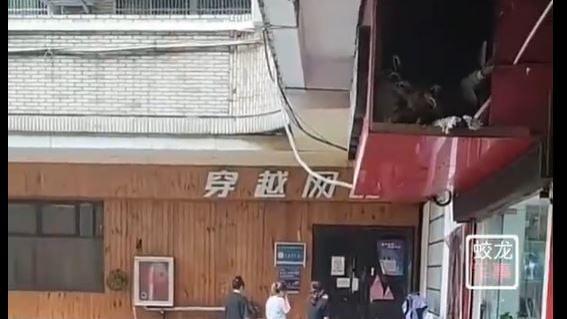 温州一男子在网吧死亡逾24小时才被发现