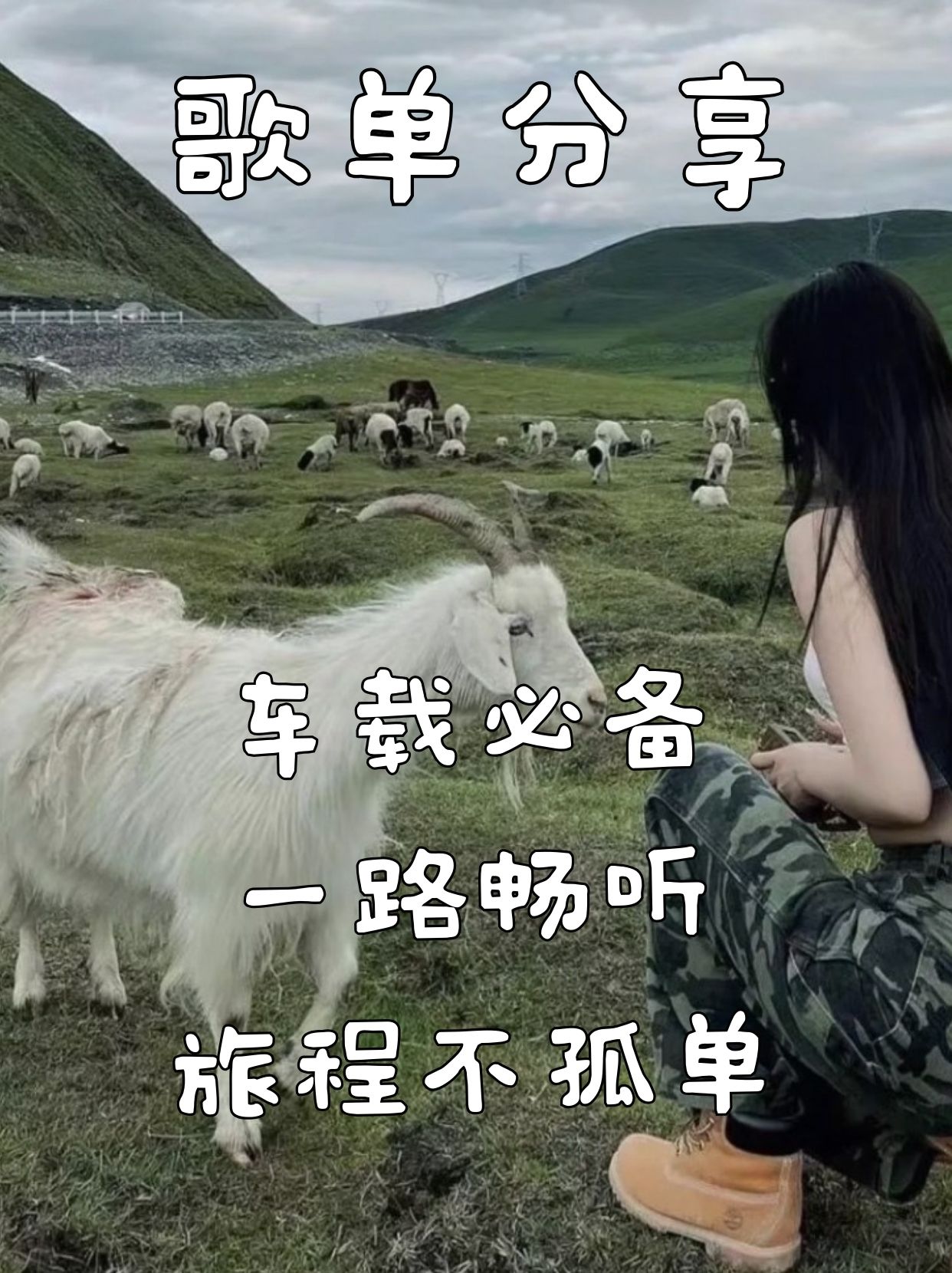 车载必备！一路畅听，旅程不孤单