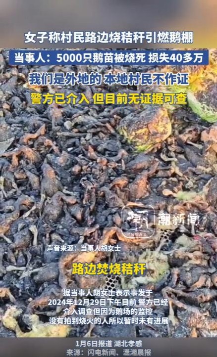 女子养鹅基地失火村民不作证

                         