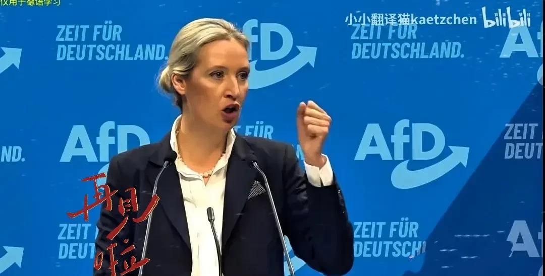 魏德尔：欧美及其盟友总是指责东大国不尊重他国主权，干涉他国内政，但他们却以维护世