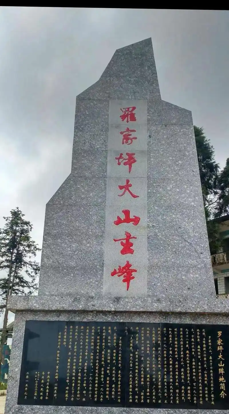 980年的南疆前线，罗家坪大山的激烈战斗如火如荼。敌人步步逼近，枪声密集，硝烟弥