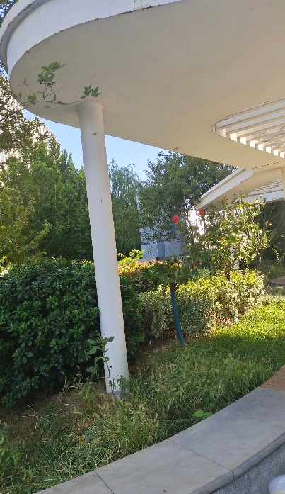 我二堂姐跟老公离婚了，但离婚不离家，为了孩子，俩人还是生活在一个屋檐下。可是最近