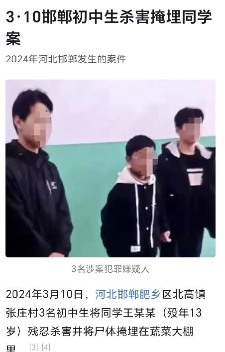 “邯郸初中生遭3名同学杀害掩埋”案判了：一人判无期，一人判有期徒刑12年，一人不