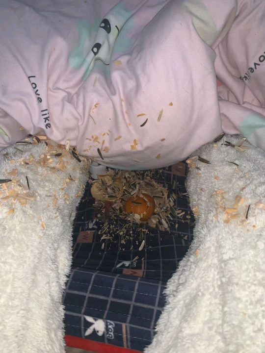 人怎么能闯出这么大的祸