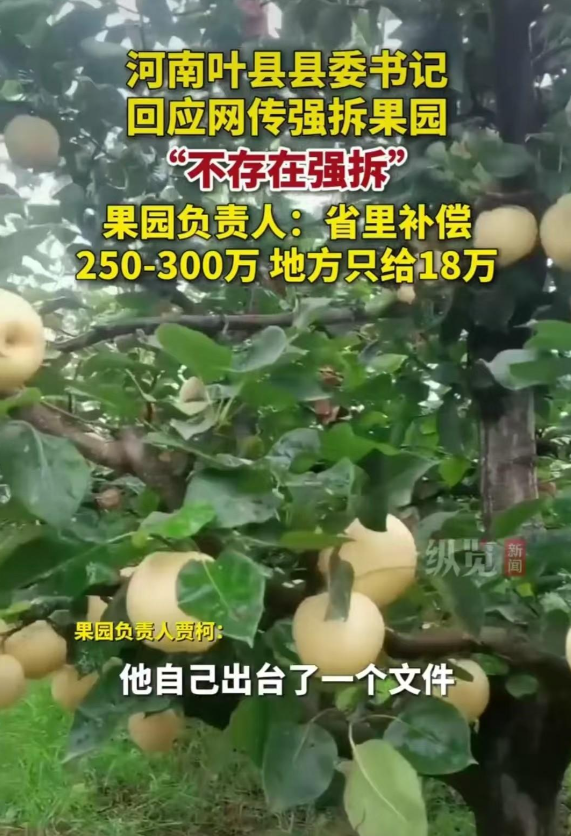 “强拆果园”事件又有新情况：叶县县委书记回应称，“不存在强拆…”

果园负责人表