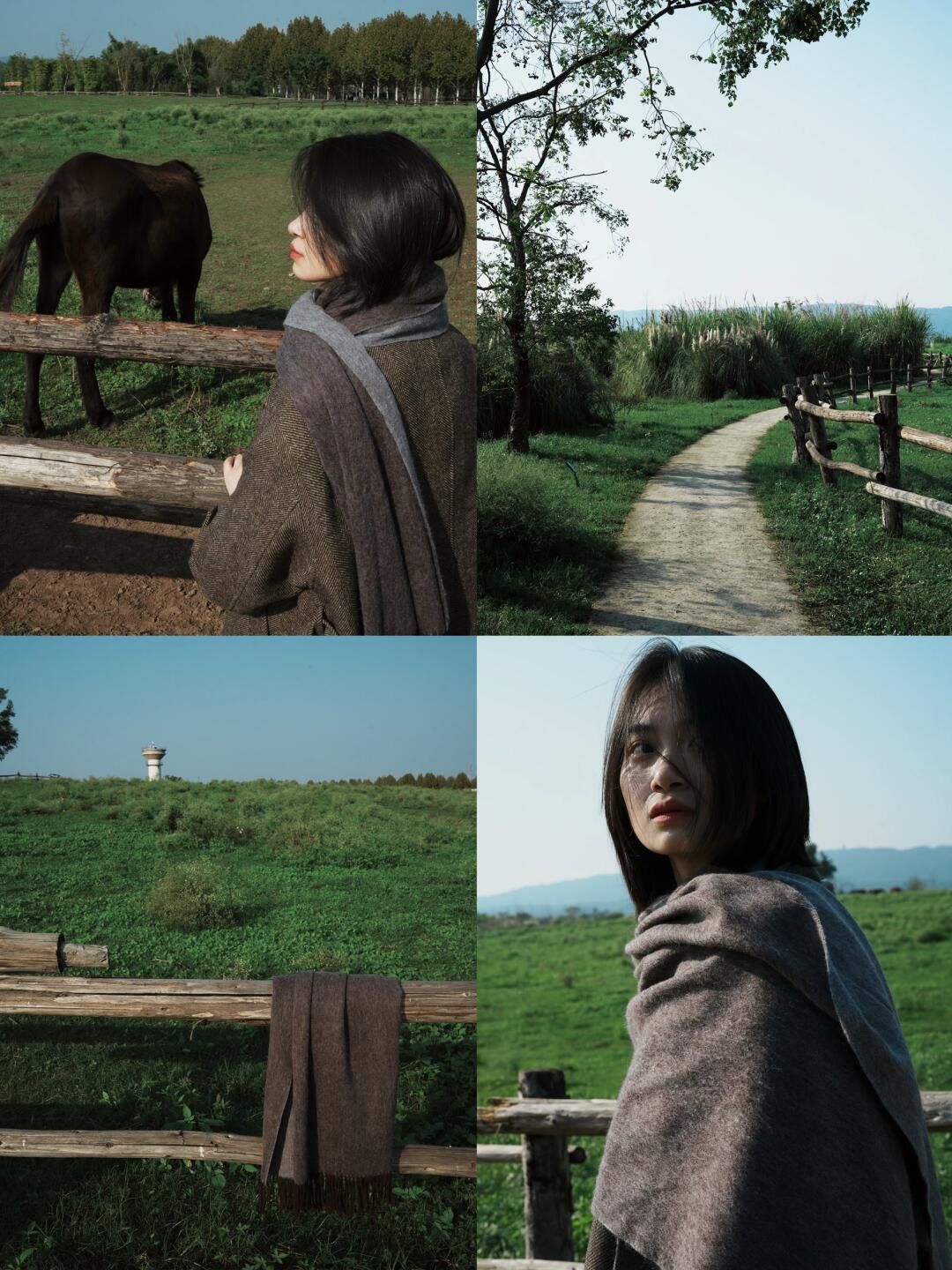 流浪者的诗歌｜广阳岛🐑