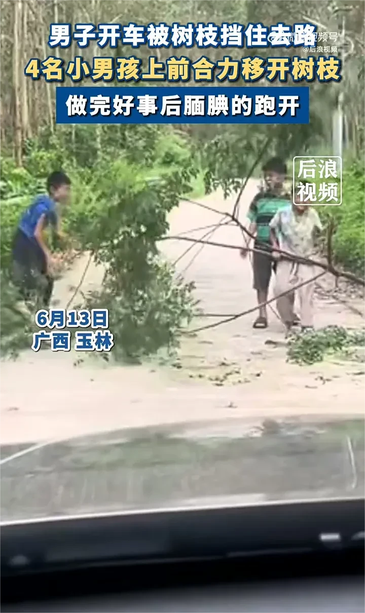 这四个小男孩，真的暖心又可爱！6月13日，广西玉林一男子开车经过山道，不料却被掉