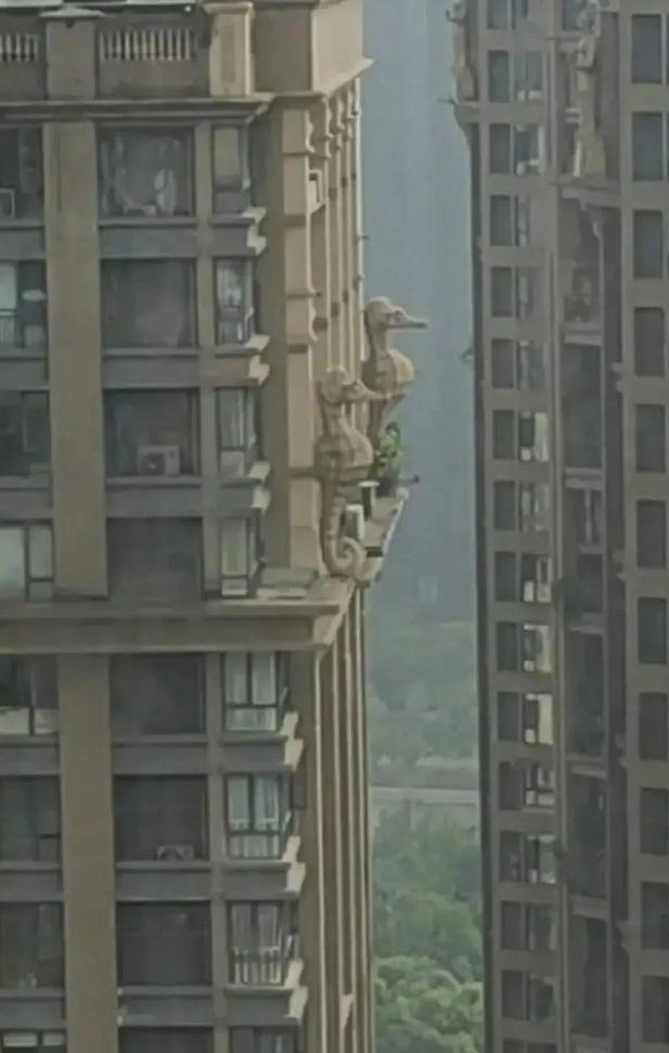 小区对面楼，这住的是户什么人家?