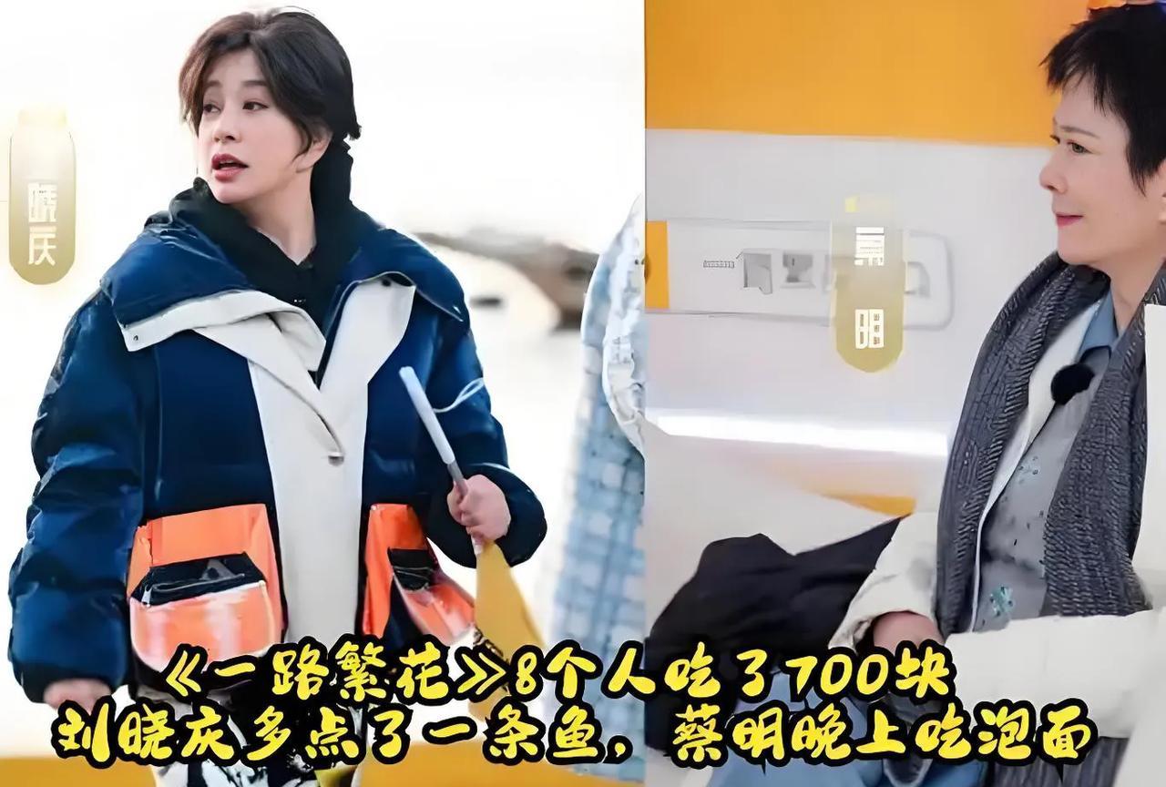 #一路繁花# 在《一路繁花》中，刘晓庆以她的智慧和经验，三言两语便让李小冉心服口