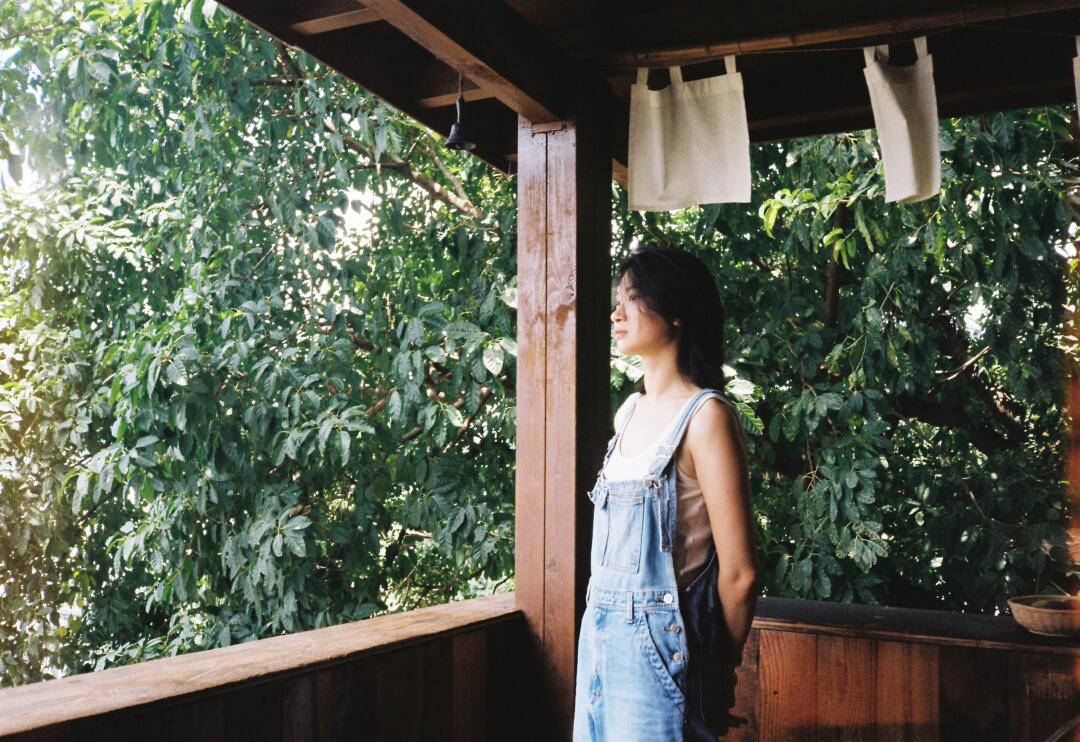 胶片相机里的夏天🍃