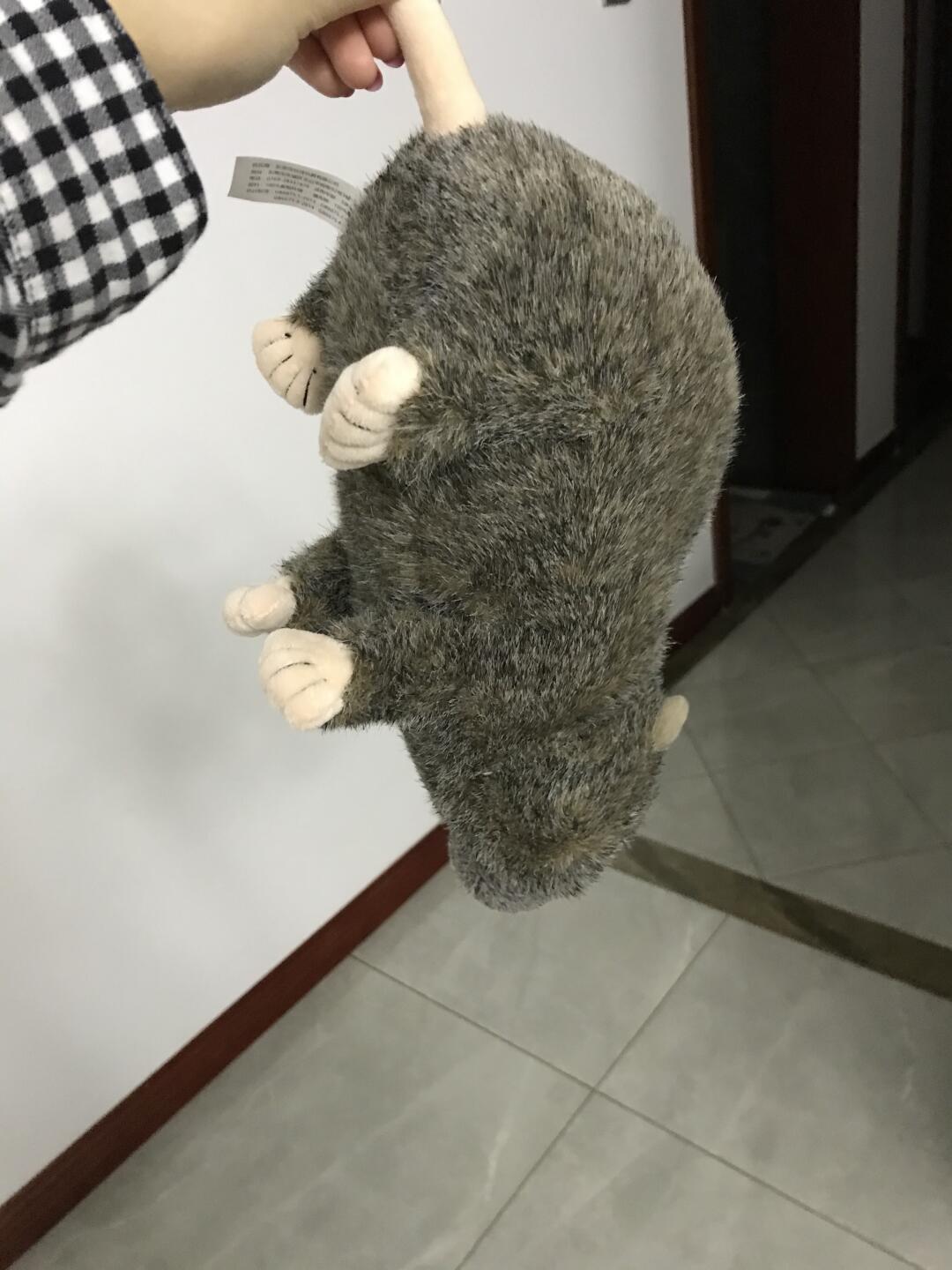 穿越了朋友们，今年到底是2024还是2020。
这几天上网冲浪越冲越神情恍惚，大