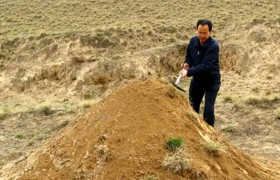 土葬不一定是最好的！人死后身体还是活的，99%的人根本不知道，其实人在死后埋入地