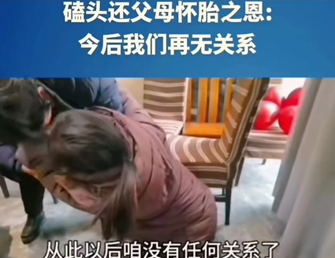那一刻，空气仿佛凝固了。女子的目光冷冷地注视着站在她面前的两位老人，眼中没有温度