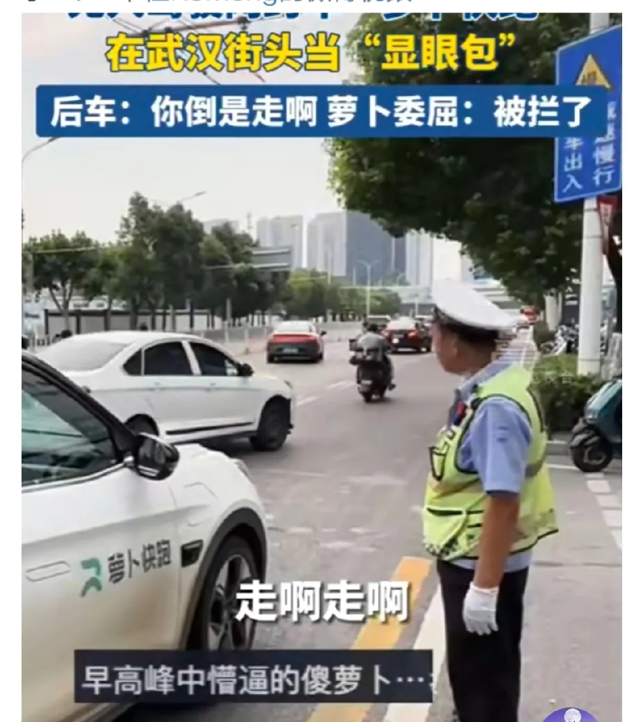 交警:走啊走啊！
萝卜:有障碍物
交警:你能过去
萝卜:我不敢

碰到这种情况怎