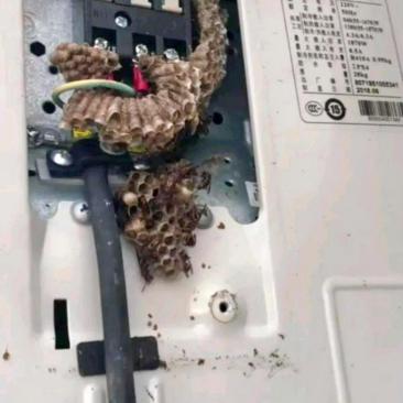    公司的空调坏了，等维修师傅赶来打开空调盖子，当场就惊呆了，直呼：“这是啥呀