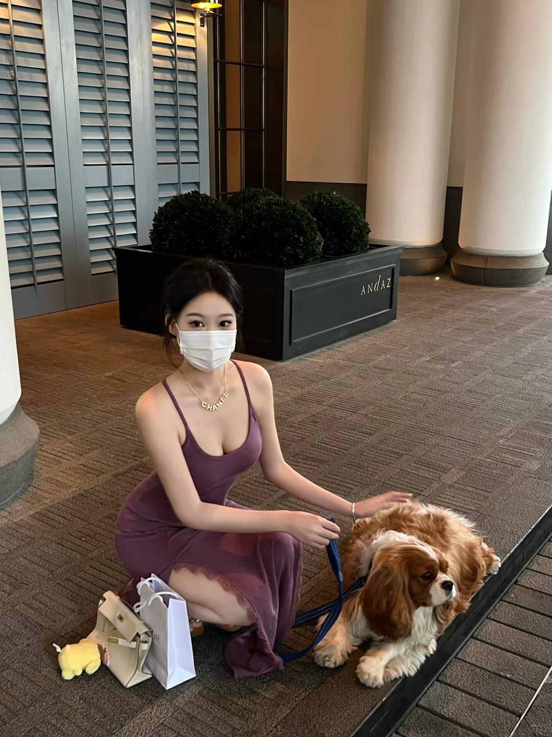 妹妹说紫色很有韵味
Max好乖好可爱☺️