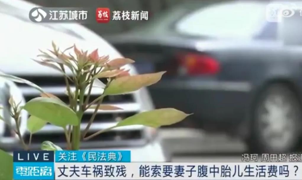 江苏，男子下班途中，被一辆轿车撞成10级伤残，轿车负全责。发生车祸时，男子的妻子