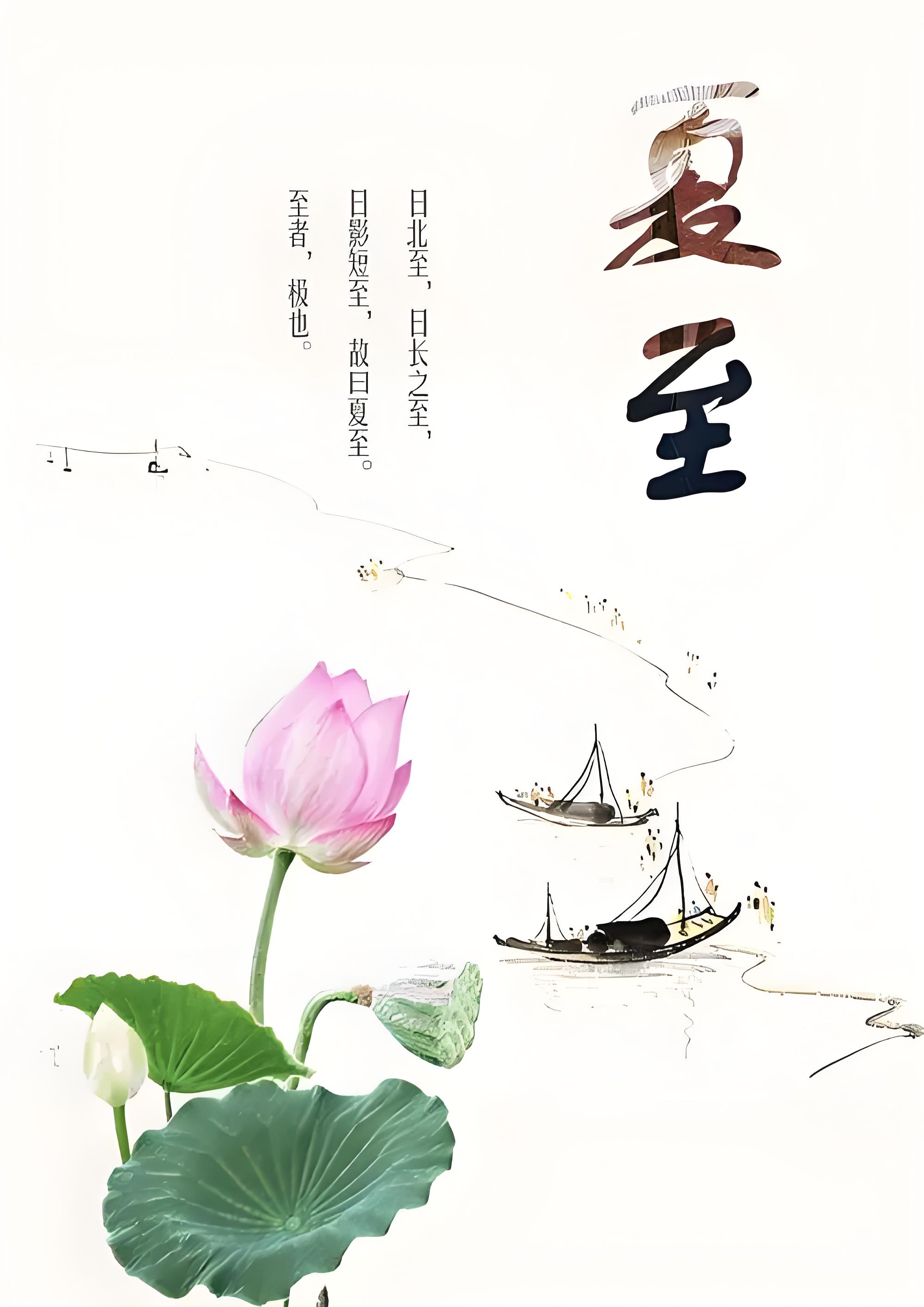 夏至│四时有序, 流年半夏