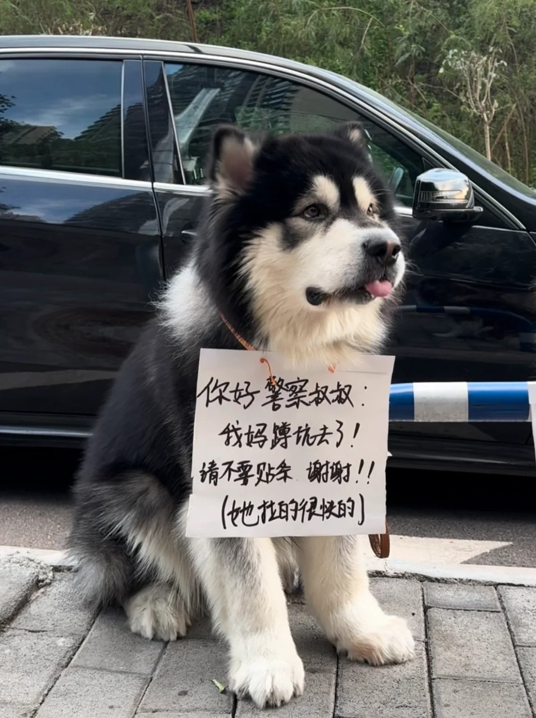私密马赛蜀黍酱～看我的面子上就不要贴条啦
我妈说实在不行 可以贴条 但不能带走我