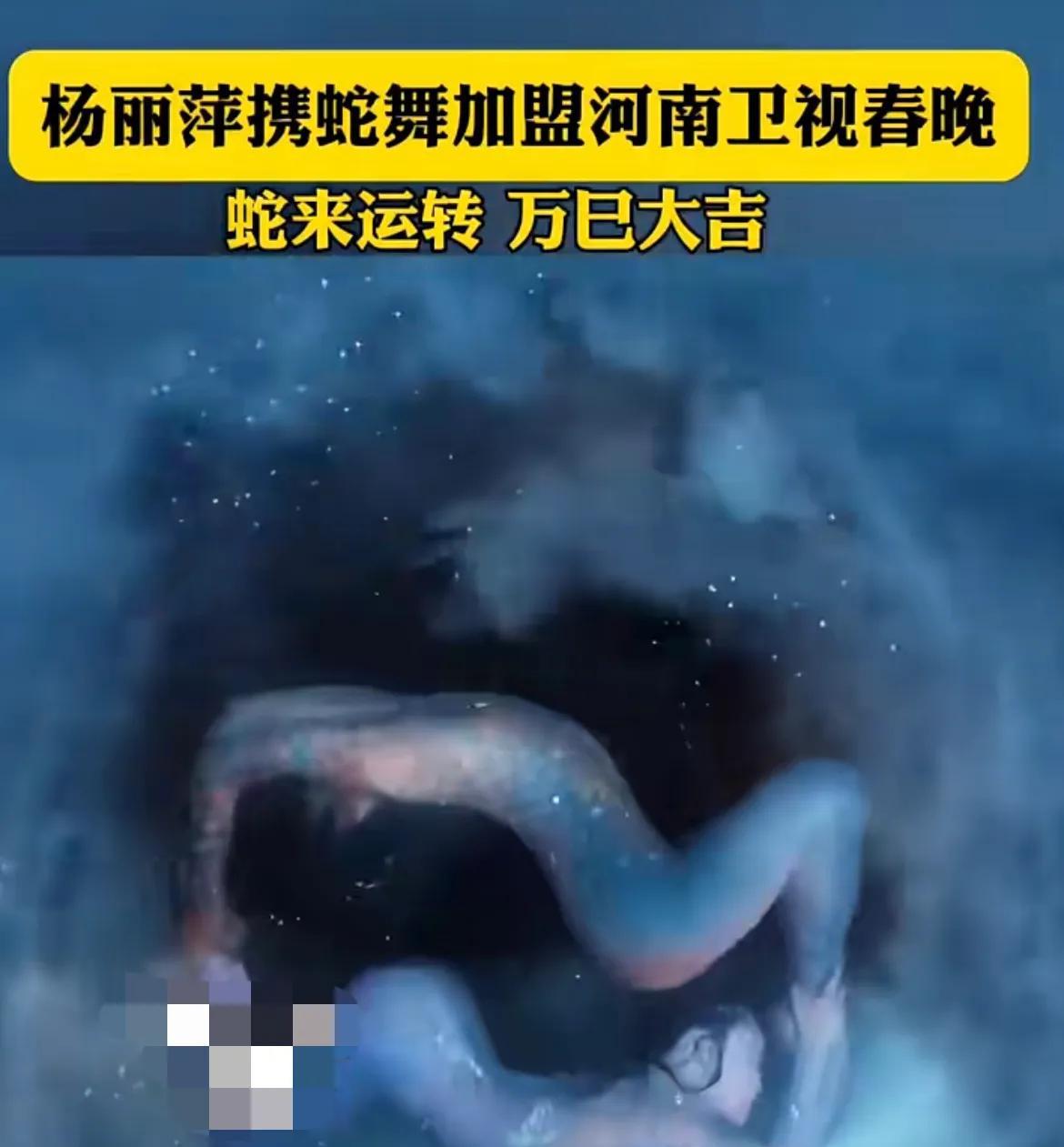 杨丽萍的蛇舞，真的看不懂！人家说艺术就是一种审美，但是杨丽萍的蛇舞只是感觉很像，