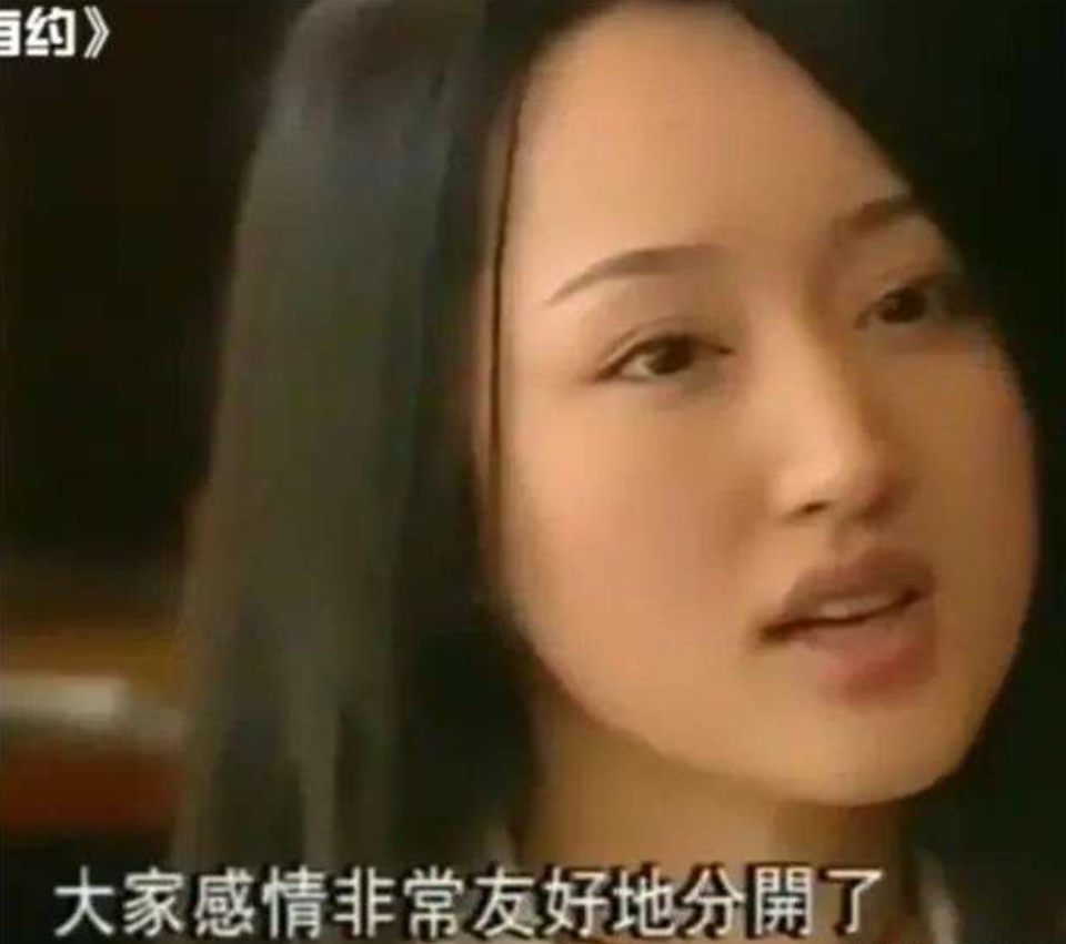 1994年，杨钰莹去厦门演出。途中，赖文峰驾驶奔驰600，紧急刹车将其停了下来。