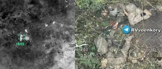 刚刚，“今日俄罗斯”网站公布了9月10日库尔斯克地区村庄战斗后的照片，俄第7空降