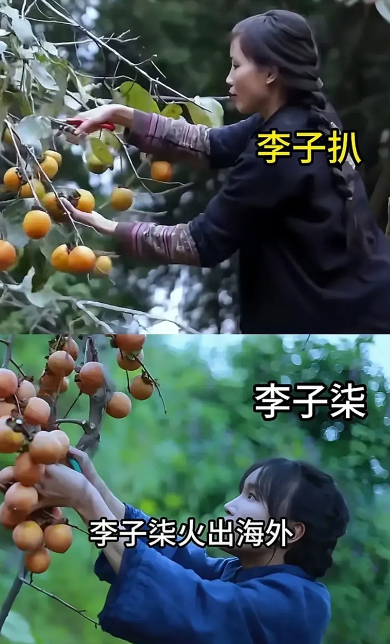 越南有个模仿李子柒的奇葩网红，李子柒干什么，她就干什么，一比一复刻李子柒，更搞笑