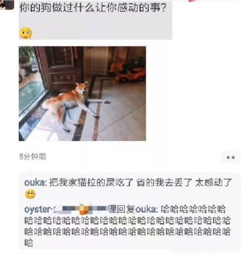 你的狗做过什么让你感动的事?