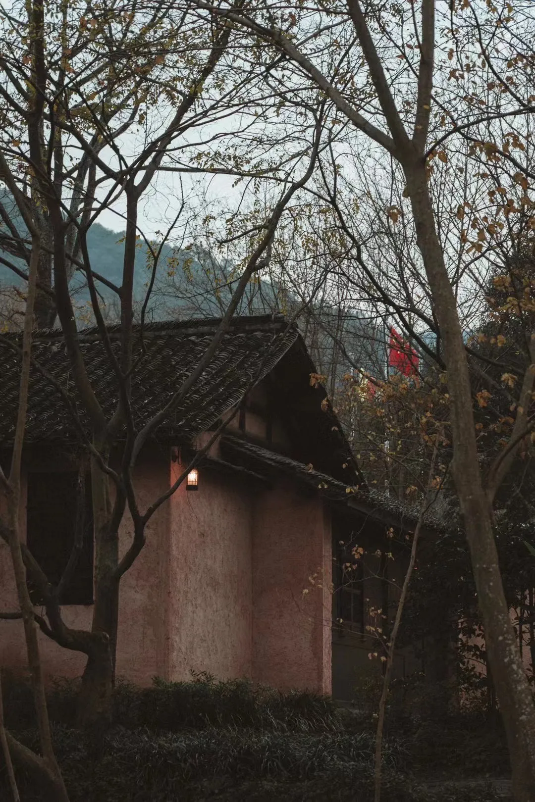 养父是个村干部，去公社开会回家路上在路旁解手，被我吓一跳，我露着肚脐被扔在沟里枣