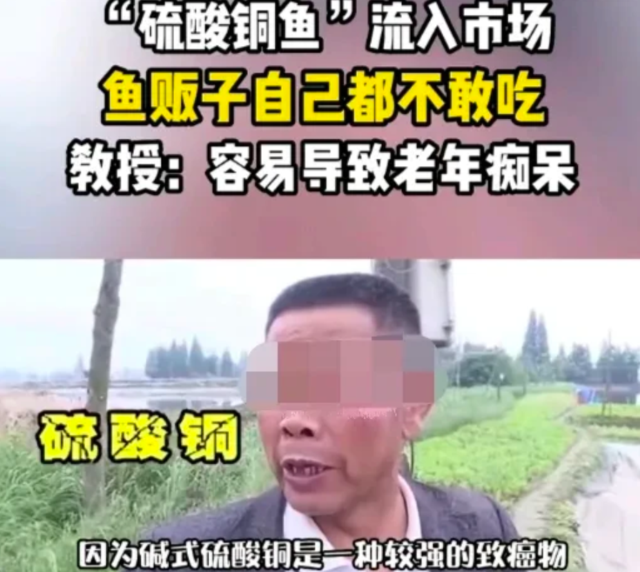 这是一个人灭人的时代！一条命各行各业都想要。
你养鱼，我卖虾，你种葡萄，我种瓜，