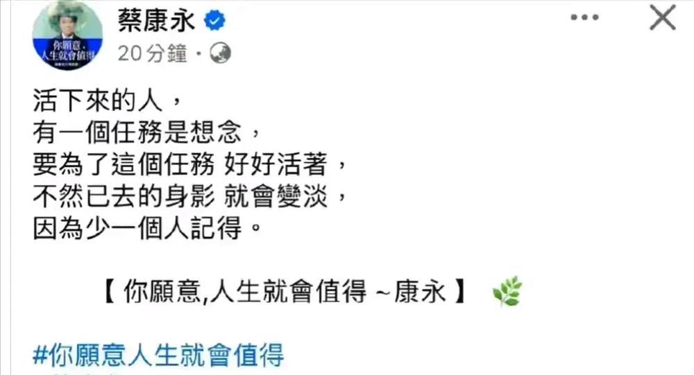蔡康永说话的意思就是大S已经黑到底了，如果S家还执迷不悟，那就彻底黑化了。

但