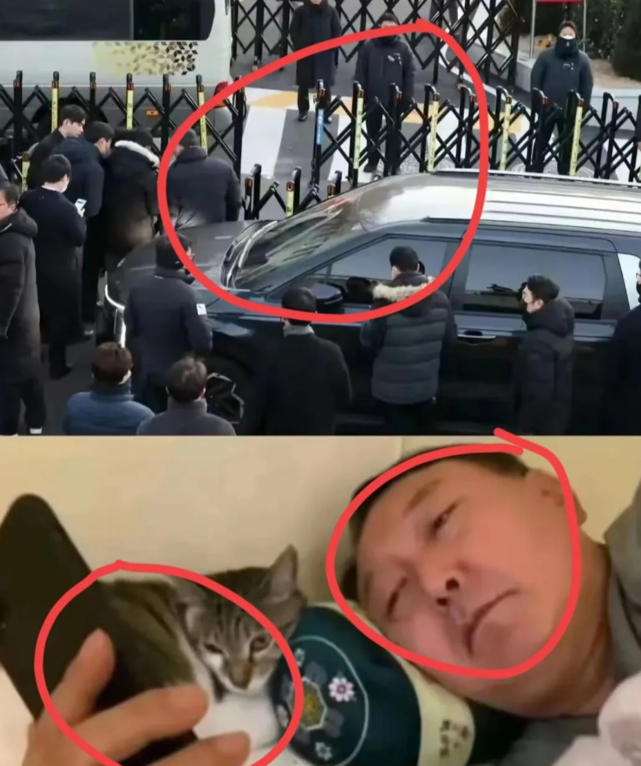 尹锡悦今天还公开被抓住了，估计后面也是一直坐到底了，但是这3个人怎么办

1:尹