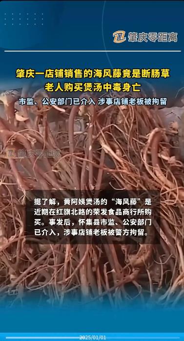 太惨了，大家一定要注意了，近日，广东肇庆怀集的一位阿姨在一个商行购买了海风藤，回
