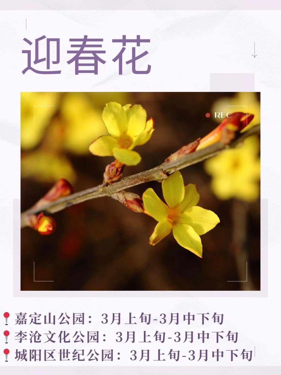 赏花地🌸🌸