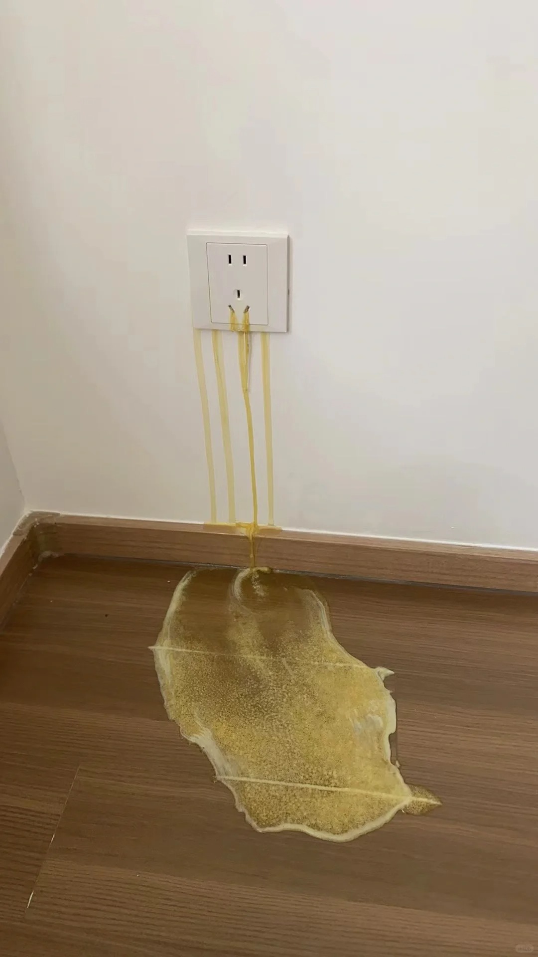 仁恒+华发 惊悚每一天
交房不到两周 每天有新的惊悚
会哭的插座
长毛的地板
墙
