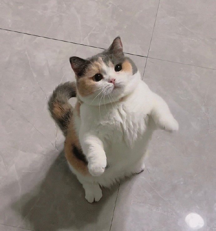 回来了吧，快来抱抱我