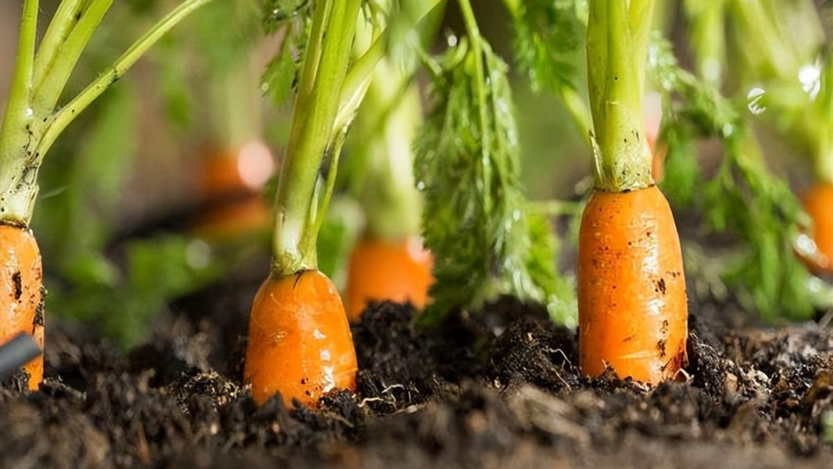 运动可以帮助控制血糖吗？事实上，坚持运动还能有这2个“改变”