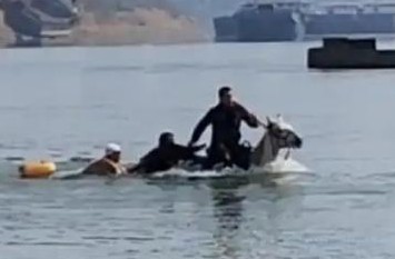 一匹名叫“白龙”的马在英勇救人后不幸去世，这在一段时间内引发广泛关注和讨论。故事