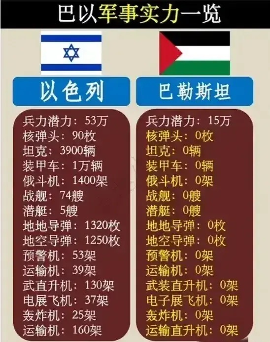 巴勒斯坦：没有导弹。
巴勒斯坦：没有轰炸机。

啥都没有，但有一腔勇气。

也有