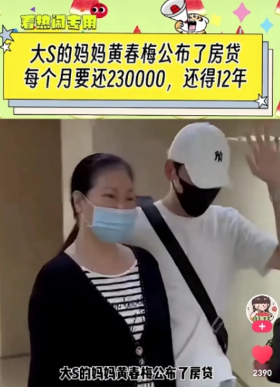 大S妈妈可真是老谋深算啊。我就说怎么突然放弃抚养权了，原来是每个月房贷要还 23