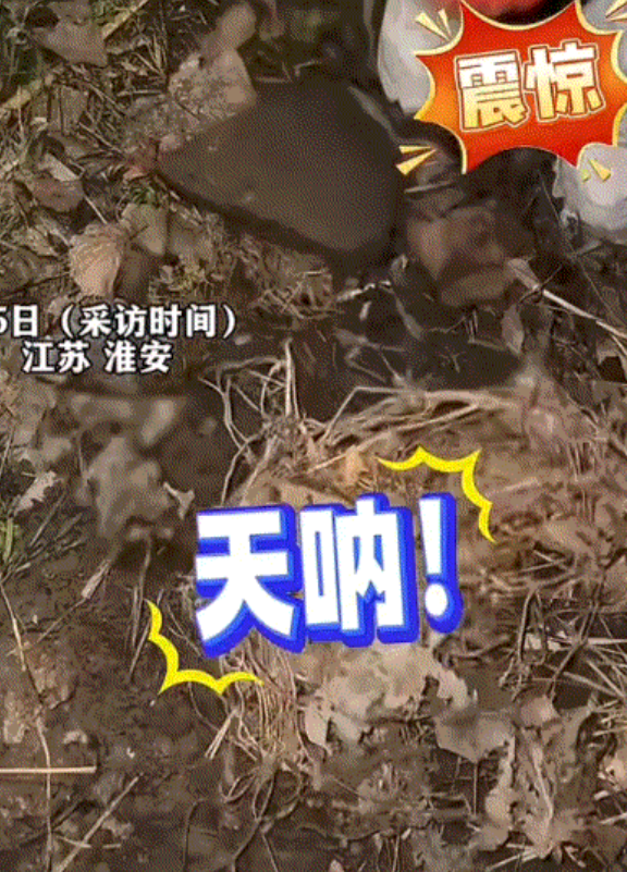 江苏，一女子上午把手机弄丢了，由于白天上班很忙没来得及找，晚上下班后，女子赶紧回