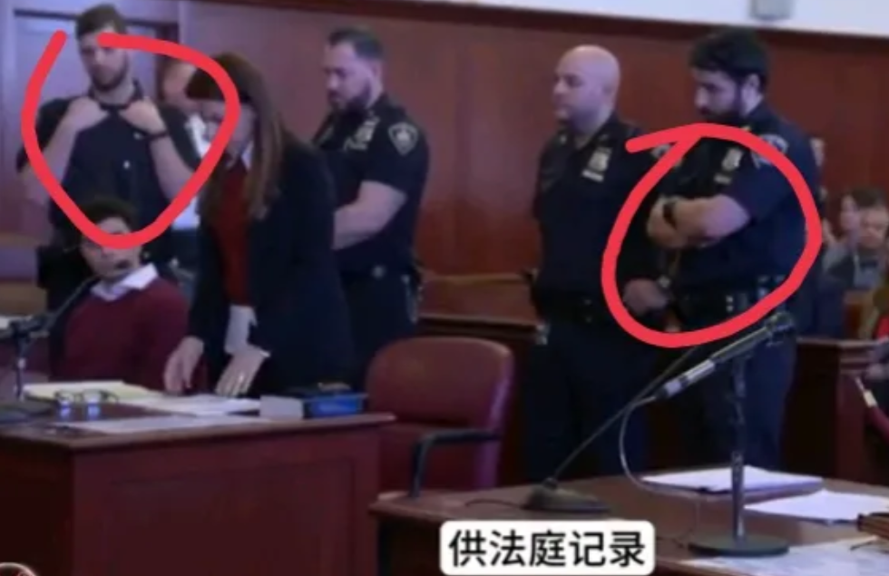 看了路易吉庭审现场录像，让我大开眼界，瞬间格局大开。原来美国犯人受审是这样的？