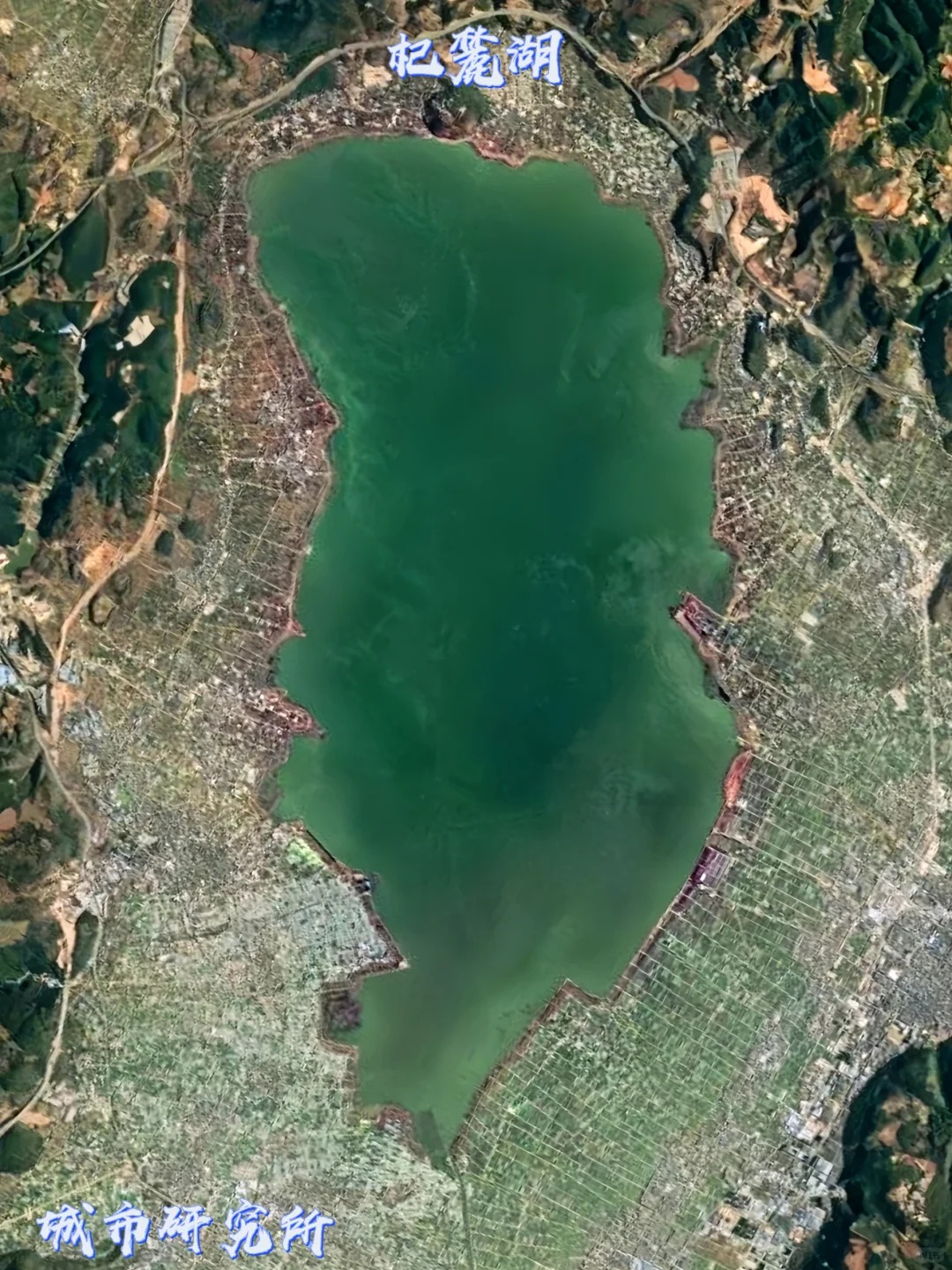 云南九大高原湖泊：你知道吗？
昆明滇池：面积306.3平方千米
大理洱海：面积2
